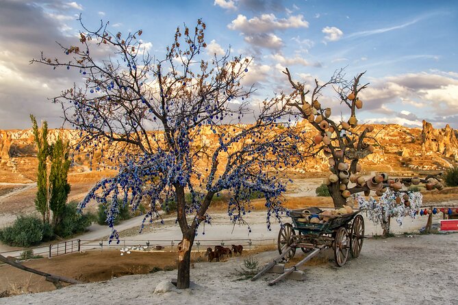 Private Cappadocia Tour with Underground City (Guide & Driver) - Pasabag (Monks Valley): The Mushroom Fairy Chimneys