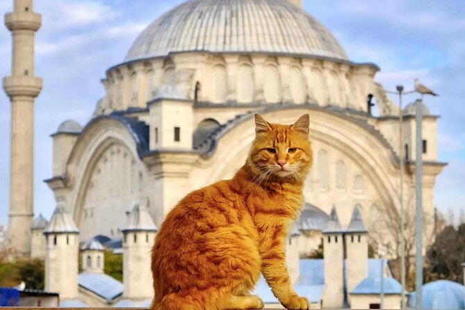 Private Cultural Tour of Istanbul: 1 or 2-Day Tailored Experience - Key highlights at a glance