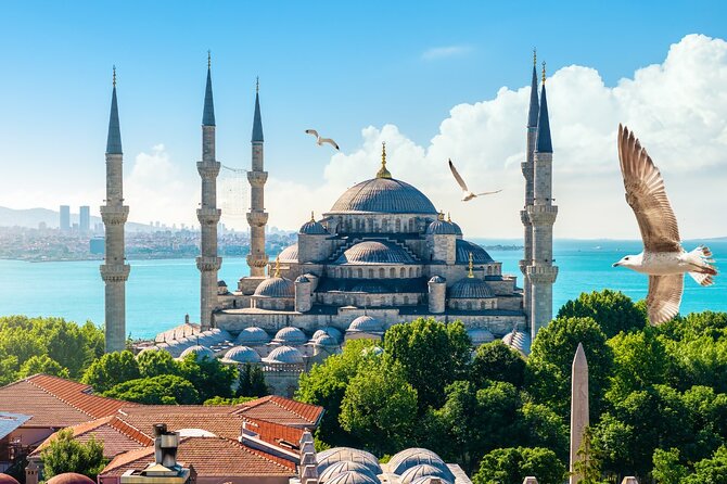 Private Cultural Tour of Istanbul: 1 or 2-Day Tailored Experience - Bosphorus Strait cruise: close shoreline views, but you share the boat