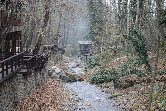 Private Day Trip From Istanbul to Lake Sapanca and Maşukiye Village - Ormanya Park: nature space, big area, and a weather check