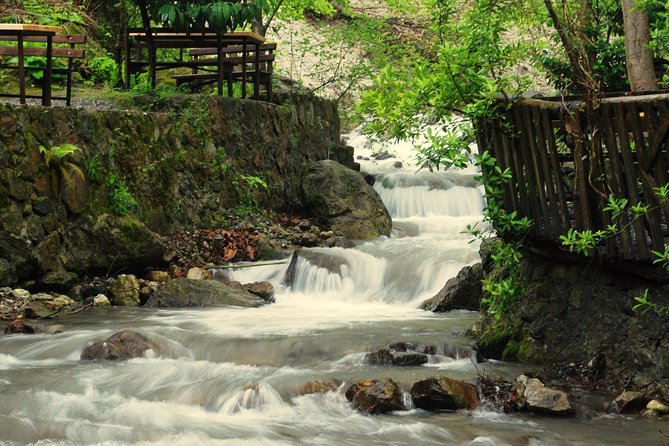 Private Day Trip From Istanbul to Lake Sapanca and Maşukiye Village - Kartepe ski resort: snow scenery potential and the cable car factor