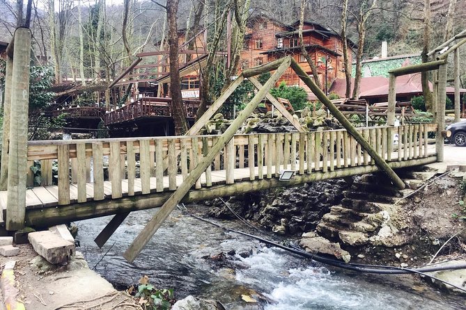Private Day Trip From Istanbul to Lake Sapanca and Maşukiye Village - How the “English-speaking driver” format feels in practice