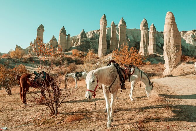 Private Day Trip to Cappadocia from Istanbul - The value of flying in and out: why this beats a rushed overnight