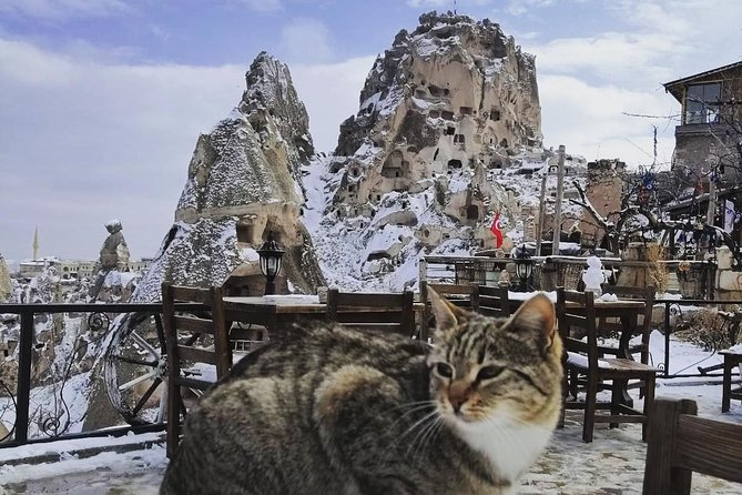 Private Day Trip to Cappadocia from Istanbul - Göreme Open-Air Museum: UNESCO cave churches and fresco explanations