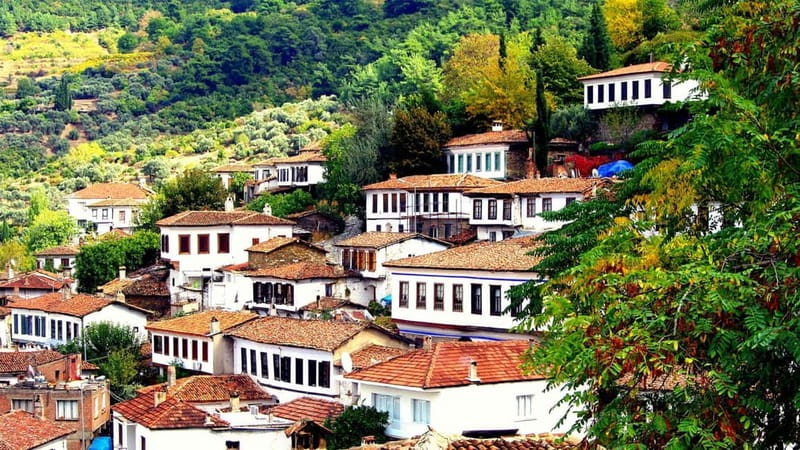 Private Ephesus and Sirince Village Tour Cruiser Only - Ephesus at a Comfortable Pace: Celsus and the Grand Theatre