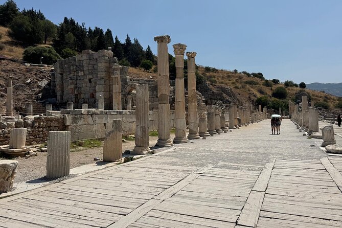 Private Ephesus Shore Tour for Cruise Guests from Kusadasi Port - Stop 2: Temple of Artemis and the Seven Wonders feel