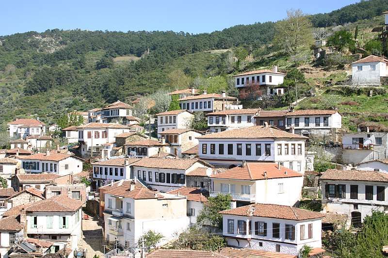 Private Ephesus, Terrace Houses & Sirince Village Tour - Key highlights I’d plan around