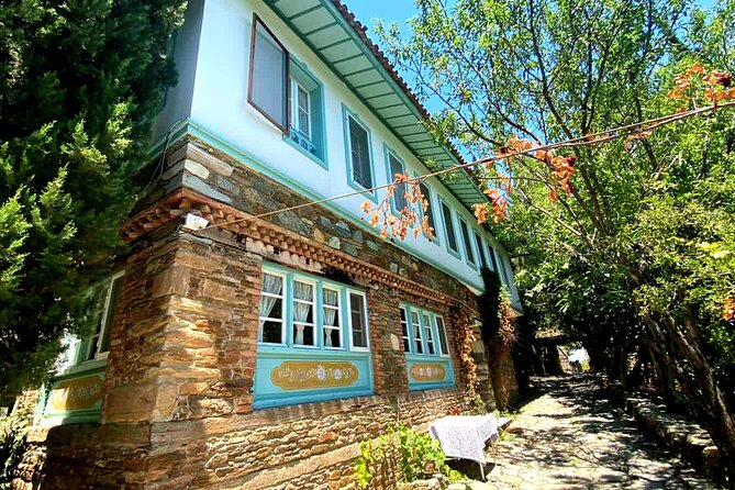 Private Ephesus Tour & Cooking Class in Village - Who should book this private Ephesus plus cooking experience?