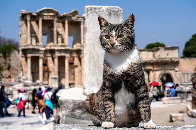 Private Ephesus Tour from Kusadasi - Walking Ephesus through the Magnesia Gate