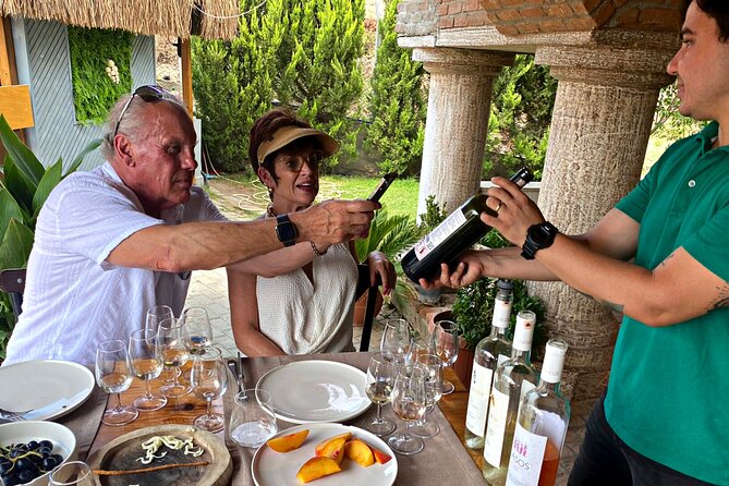 Private Ephesus Tour & Wine Tasting & Mediterrranean Lunch - Who This Tour Fits Best in Your Port Day