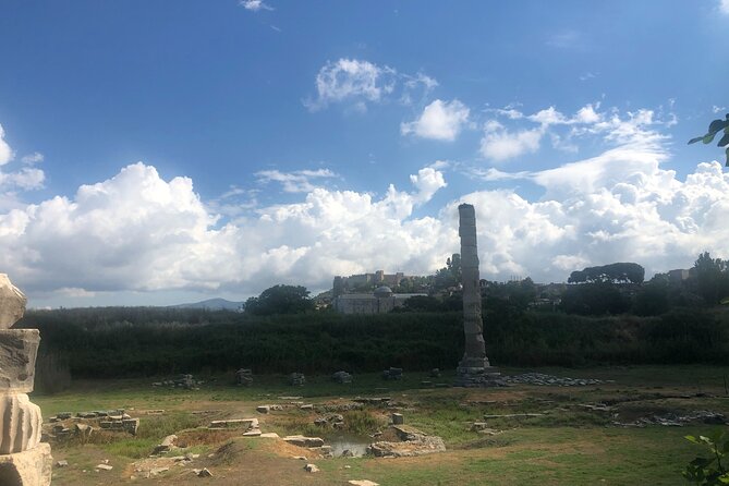 Private Express Ephesus Tour from Izmir Port / Cruisers only - From the port gate to the van: a cruise-friendly start