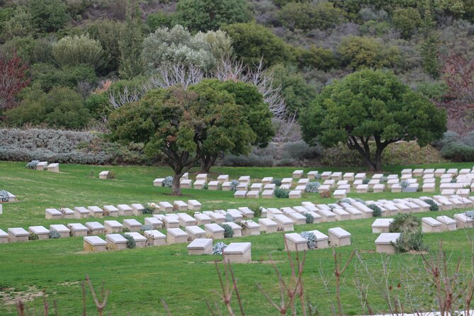 Private Gallipoli Full-Day Trip from Istanbul - Ezgi and your private team: how the day stays on track