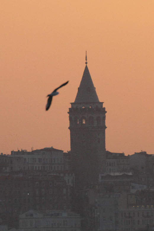 Private Guide in Istanbul Old City - Price and Value: When $178 Makes Sense