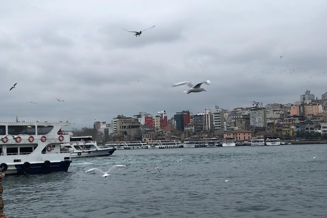Private Guided 2 Day Istanbul Tour - Day 2: Bosphorus Strait by Boat for the Europe–Asia Moment