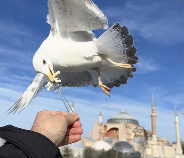 Private Guided Istanbul Luxury Tour (Tickets and Transfers) - Grand Bazaar shopping time: a guided window, not a lost hour