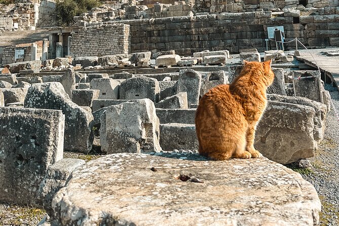 Private Half Day Ephesus Shore Excursion from Kusadasi - Pickup in the port: how to start without stress