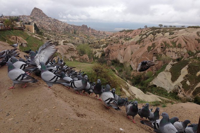 Private Highlights of Cappadocia Tour with lunch - Devrent Valley: animal shapes and quick imagination work