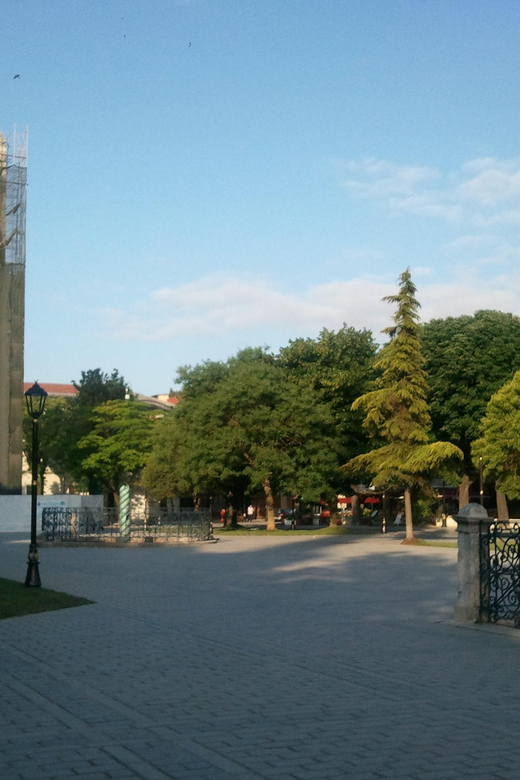 Private Istanbul Highlights Tour with a VIP Van - What’s Included (and What You’ll Pay for Yourself)