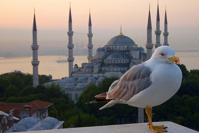 Private Istanbul Layover Tour From Airport - Airport Pickup That Actually Respects Your Flight