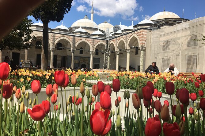 Private Istanbul Old City Walking Tour - Price and ticket reality: what $90.12 actually buys you