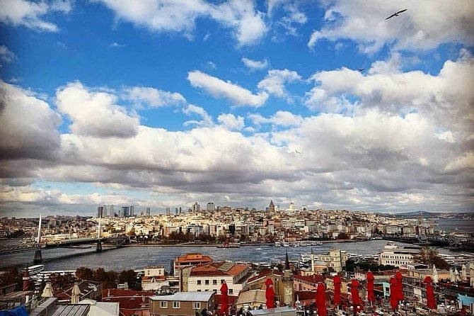 Prıvate Istanbul Tour by Luxury Minivan and Licensed Guide - The Europe–Asia Bridge Crossing Moment