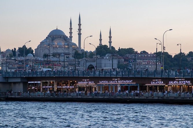 Private Istanbul tour from Cruise ship Galataport or ist airport - Hippodrome and the Blue Mosque: icons with free entry