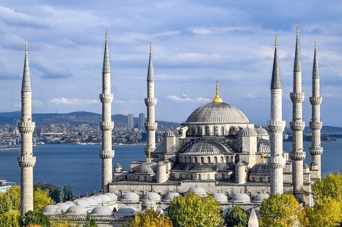 Private Istanbul Tour With Comfortable Vans During 8 Hours - The Hagia Sophia stop: planning for the €25 entrance fee