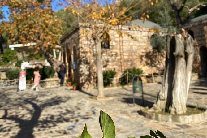 Private Izmir to Ephesus Full-Day Customizable Tour - Price and value: what $349 per group really buys you