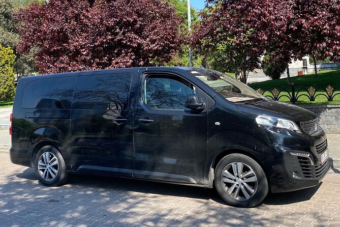 Private Minivan Transfer from Istanbul Airport - Price and Value: Is $33.25 Worth It?