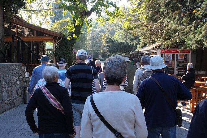 Private PANORAMIC Ephesus & Surroundings - Port Meet-Up: The Fastest Way to Get Unstuck