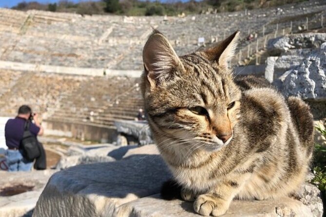 Private Tour : Biblical Ephesus Tour for Cruisers from Kusadasi ( Ephesus ) Port - Workshop Stops, Shopping Time, and How to Keep It Comfortable