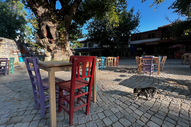 PRIVATE TOUR: Explore Hidden Gems of Marmaris Peninsula - Selimiye and the marina zone: boutique bays and big yacht energy
