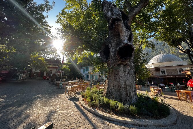 PRIVATE TOUR: Explore Hidden Gems of Marmaris Peninsula - Bayir Village: the 1800-year plane tree and mosque pause