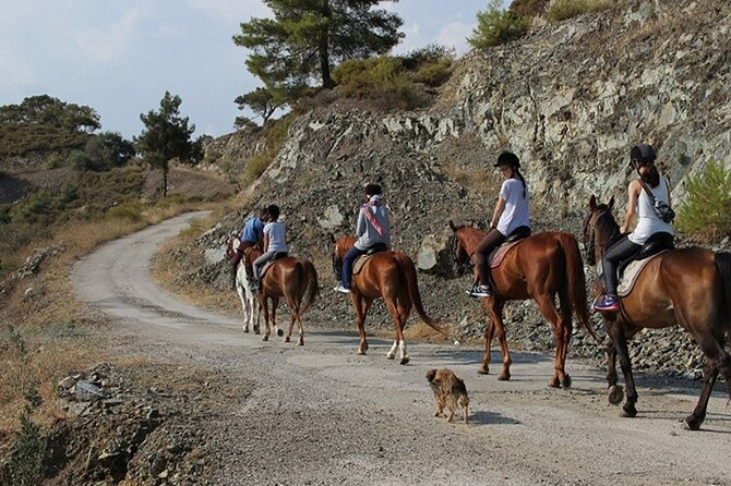 Quad Biking and Horse Riding; Super Combo Tour from Marmaris - Quad ride rules and who can drive
