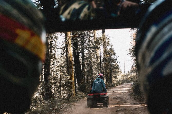 Quad Biking in Belek Forests & Taurus Mountains - Breaks in the forest: why the short stops are more than “photo time”