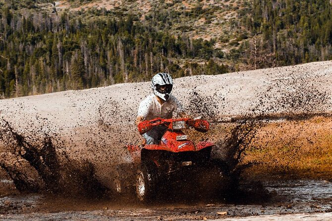 Quad Biking in Belek Forests & Taurus Mountains - Price and value: is $45 a good deal for this kind of time?