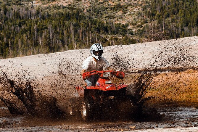 Quad Safari Experience in Alanya (Adventure Tour) w/ Free Hotel Transfer - Organization, communication, and the friendly guide factor