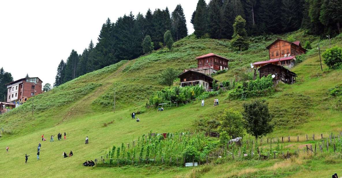 Rize: Ayder Tour & Kaçkar Mountaıns & Fırtına Valley - Key Things to Know Before You Go