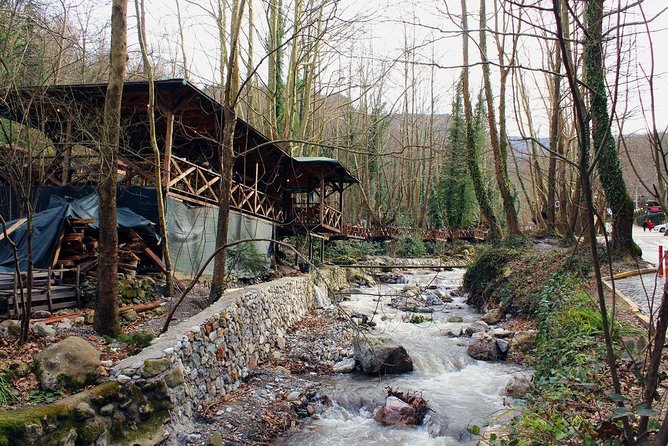 Sapanca And Masukiye Tour With Lunch - Full Day - Maşukiye Konakları: the guided water stop that sets up the rest of the day