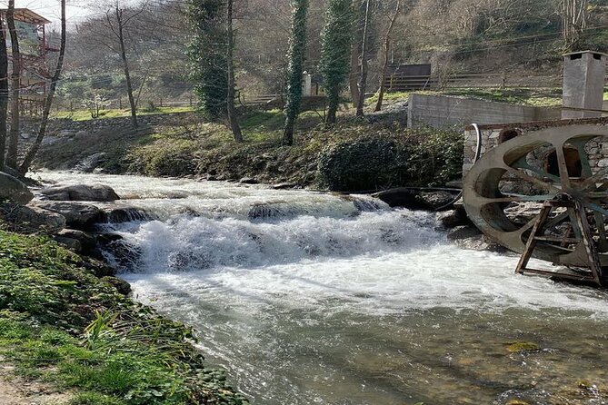 Sapanca Full Day Tour with Lunch - Sakarya city time and the Turkish delight factory tasting
