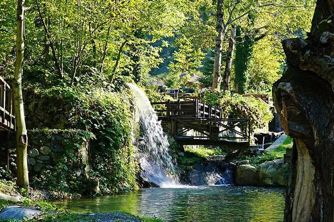 Sapanca Full Day Tour with Lunch - Price and value: what $20.43 really buys you