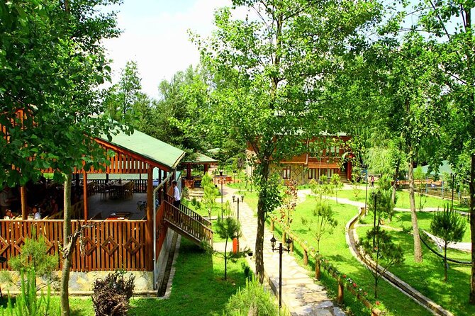 Sapanca Lake & Masukiye Tour From Istanbul - The Road Trip Part: Why the Drive Is Part of the Experience