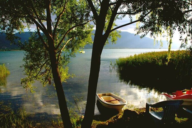 Sapanca Lake & Masukiye Tour From Istanbul - Aqua Marine (or Lion Park): Optional Entry and the Real Cost of Choice