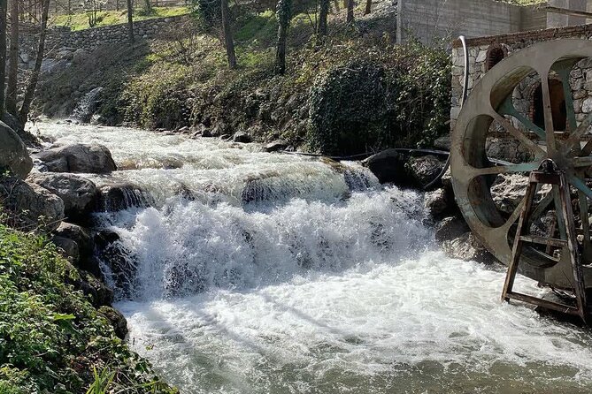 Sapanca Lake Tour with Lunch From Istanbul - Maşukiye and Camteras views: the best payoff for nature lovers