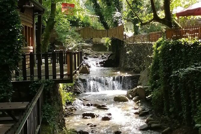 Sapanca Lake Tour with Lunch From Istanbul - Price and value: what $30.10 buys you, and what it doesn’t