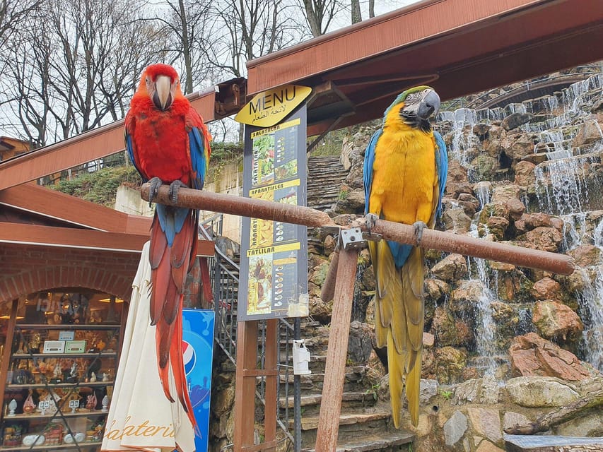 Sapanca Maşukiye tour from Istanbul - Lake Sapanca visit: making the most of a short stop (about 1 hour)