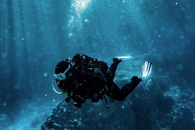 Scuba Diving Experience in Alanya With Lunch and 2 Dives - Quick hits worth knowing