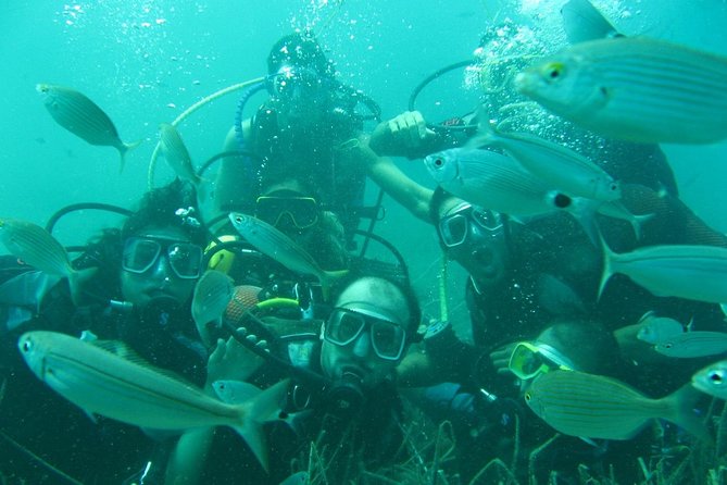 Scuba Diving from Bodrum - What You’ll See: Amphorae, Ancient Anchors, and Sea Creatures