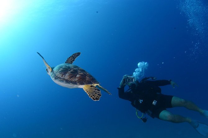 Scuba Diving from Bodrum - Value for $45.38: What You’re Actually Paying For
