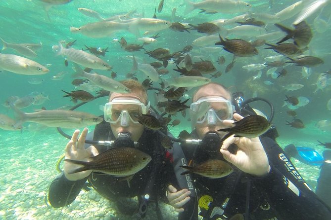 Scuba Diving from Dalyan - How the Dalyan pickup shapes your day (9:00 start, shared ride)